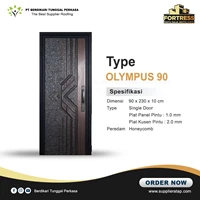 Olympus Type Steel Fortress Door