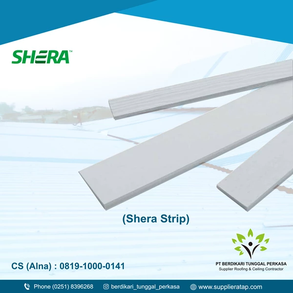 Shera Wood Strip Smooth Texture V Cut Edge (8 mm x 100 mm x 3000 mm)
