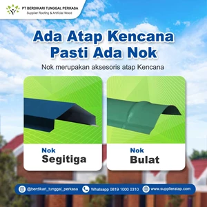 Keberadaan Nok: Fungsi Penting dalam Menjaga Atap Rumah