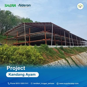Project Kandang Ayam Menggunakan Atap Alderon dan Shera Board